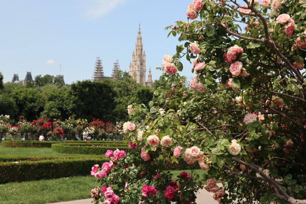 Park in Vienna